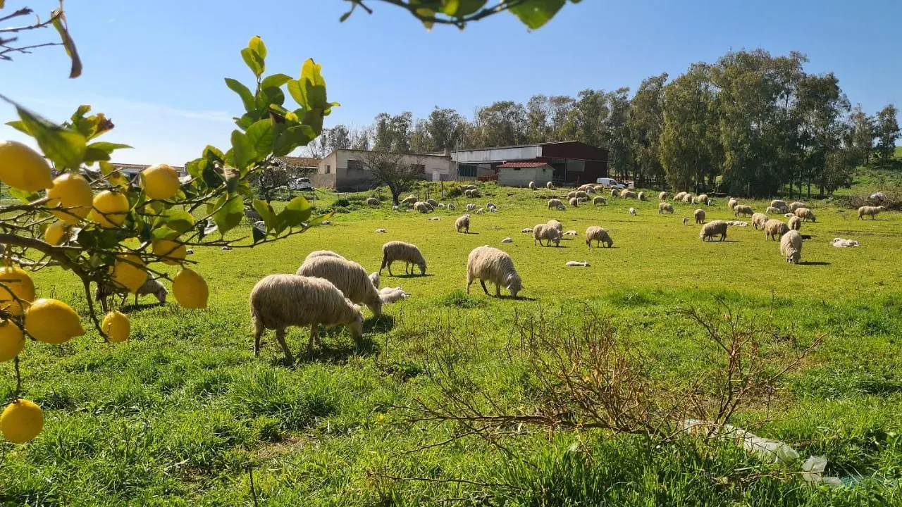 Vakantieboerderij Agriturismo Sa Pigalva Tula Italië
