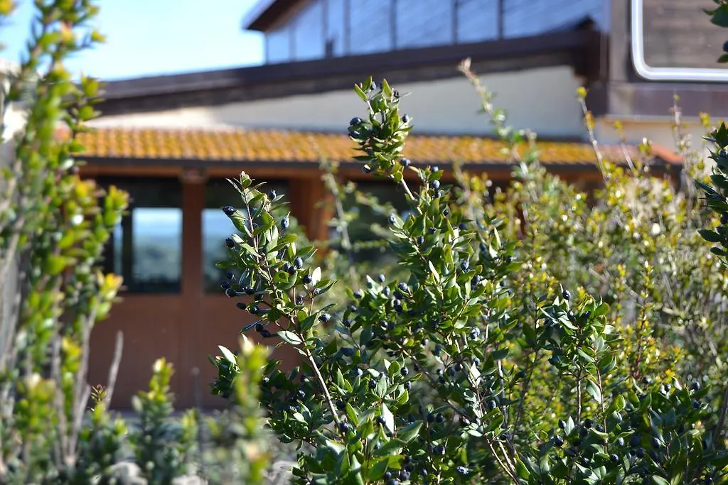 Vakantieboerderij Agriturismo Sa Pigalva Tula Italië
